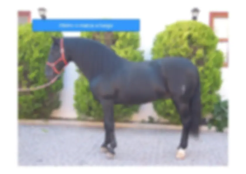 pf4