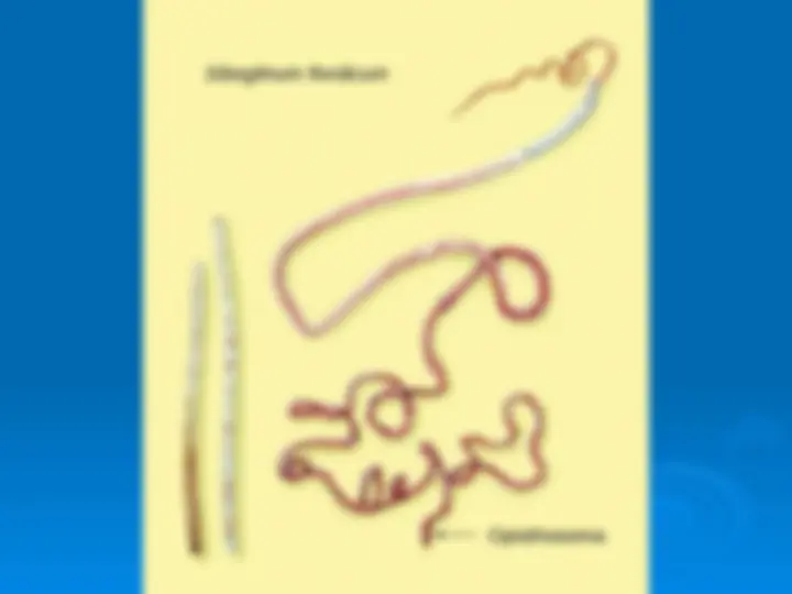 pf3a
