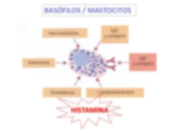 pf1d