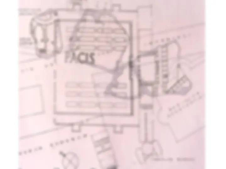 pf29