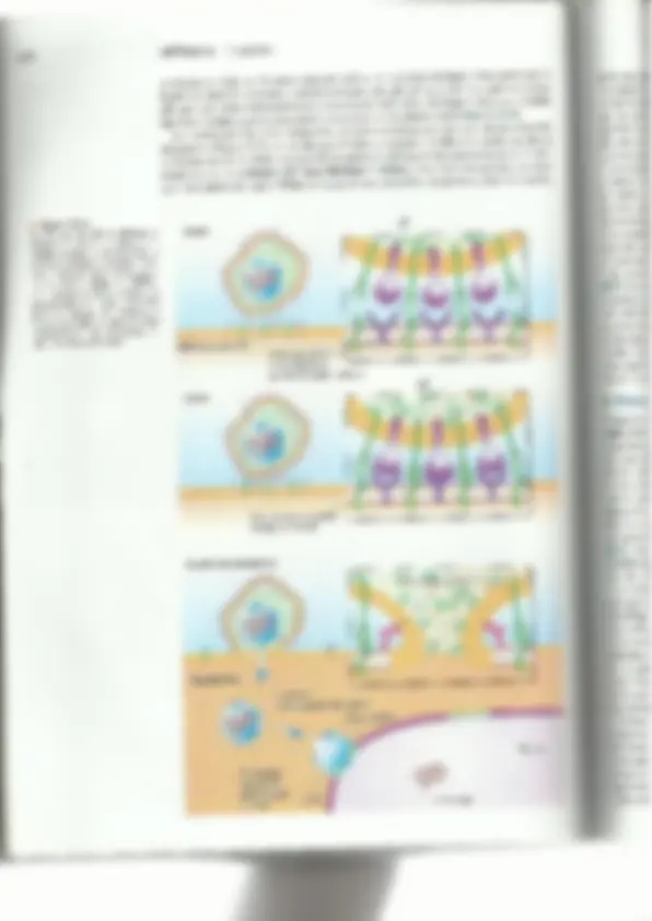 pf4