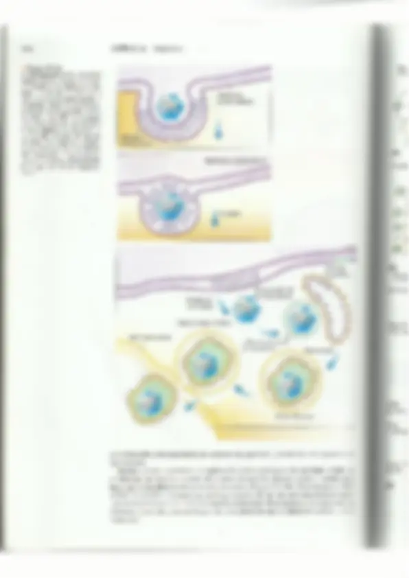 pf8