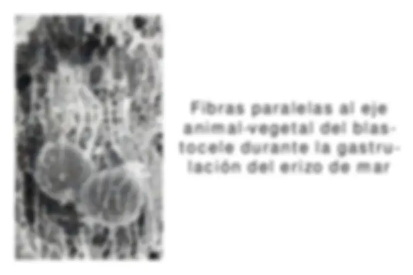 pf14