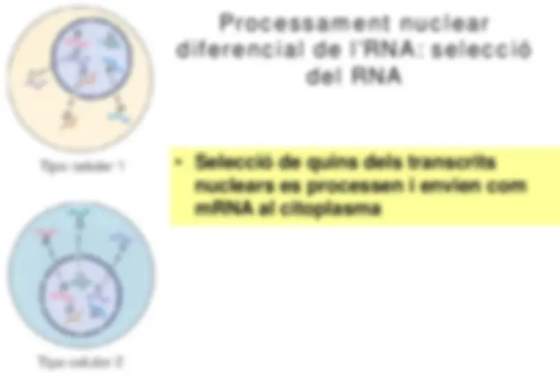 pf1f