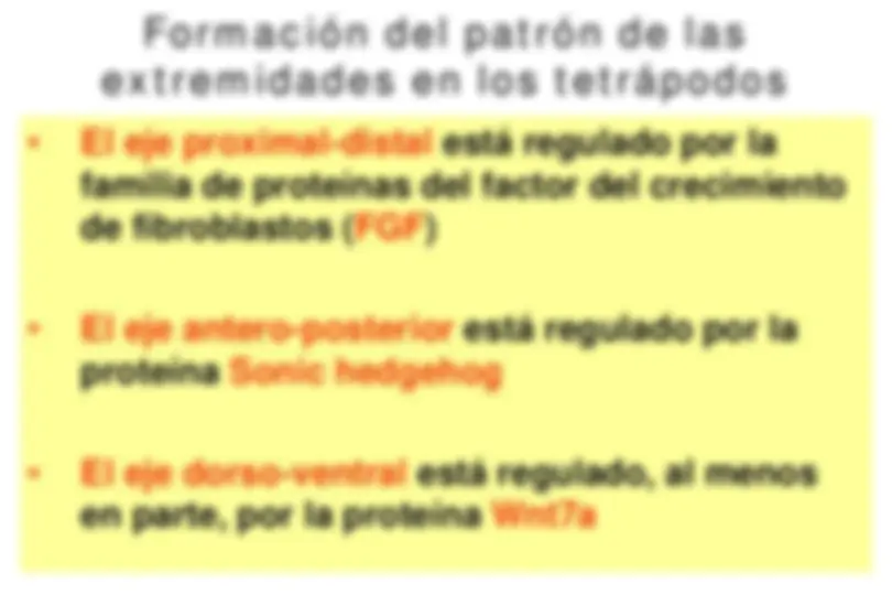 pf5