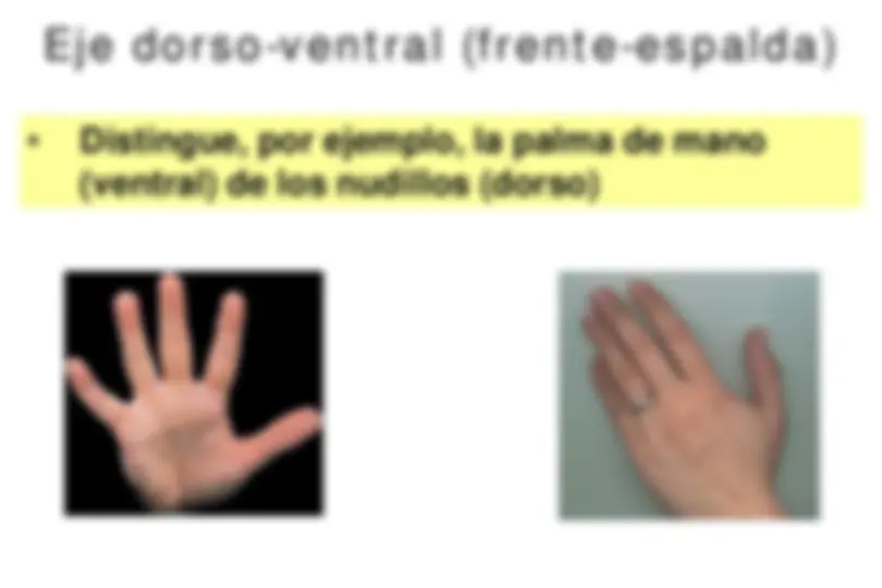 pf4