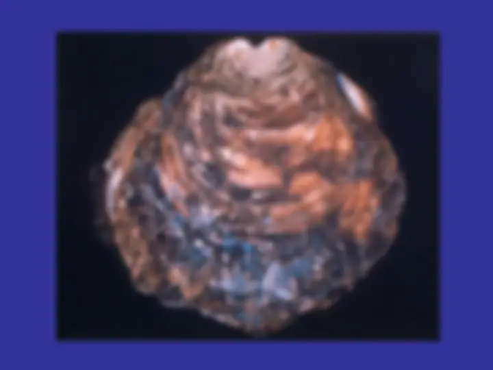 pfa