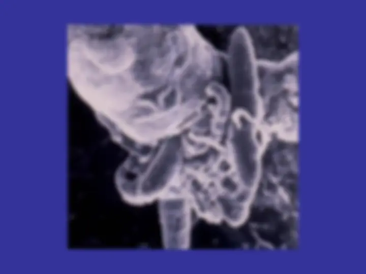 pf28