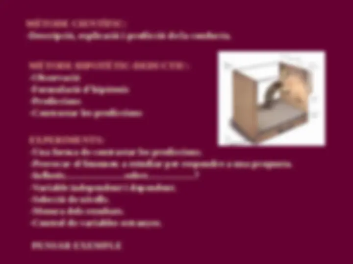 pf12