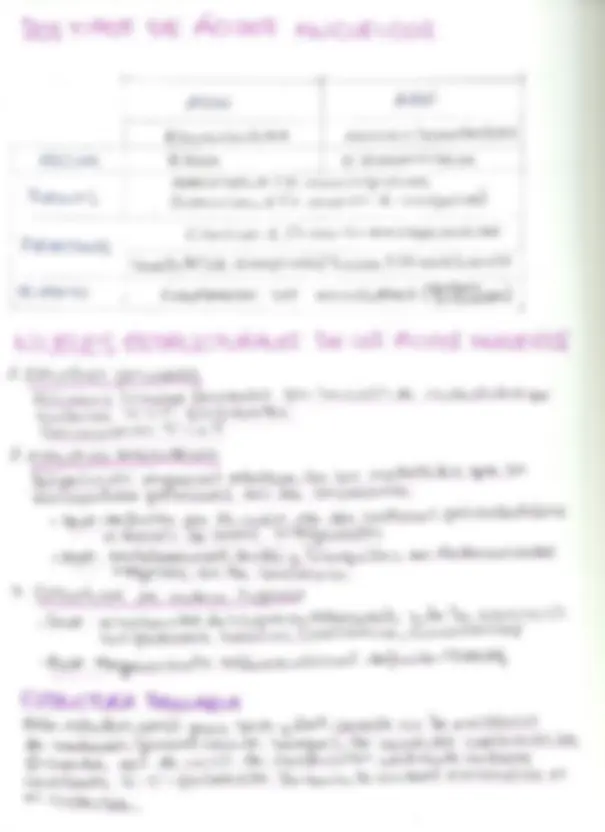 pfe