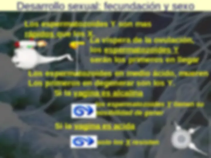 pf4