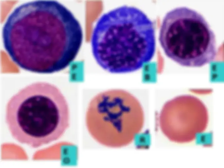 pf14