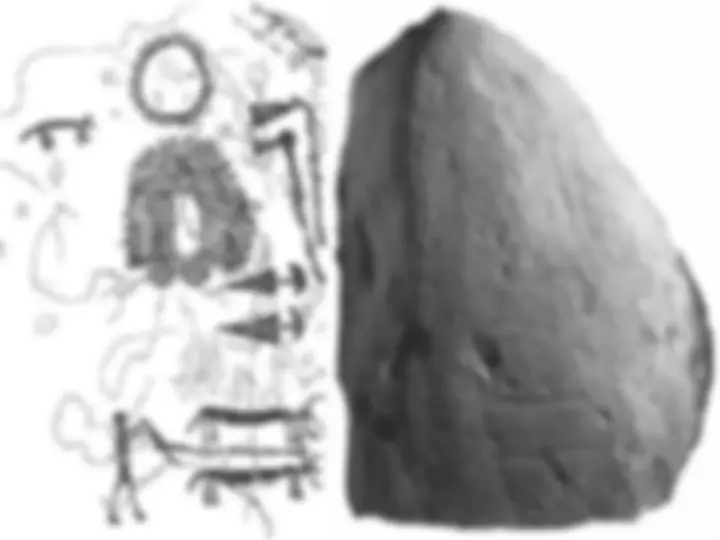 pf33