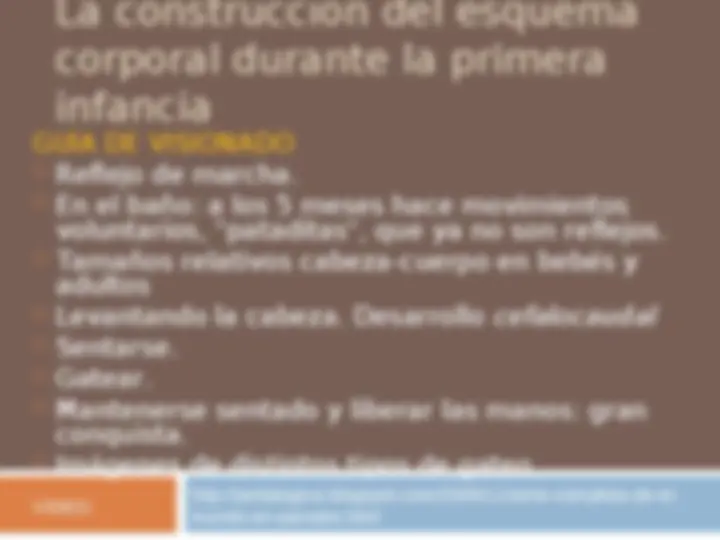 pf20