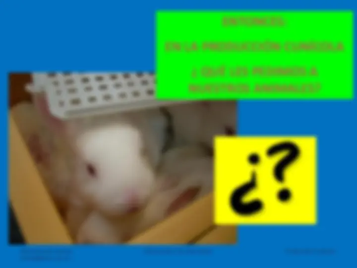 pf4