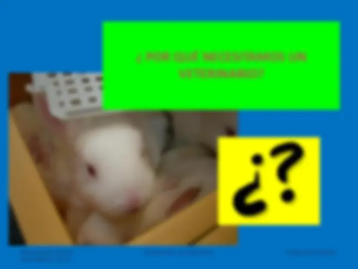 pf26