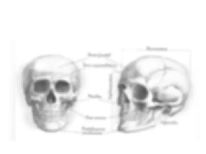 pf3