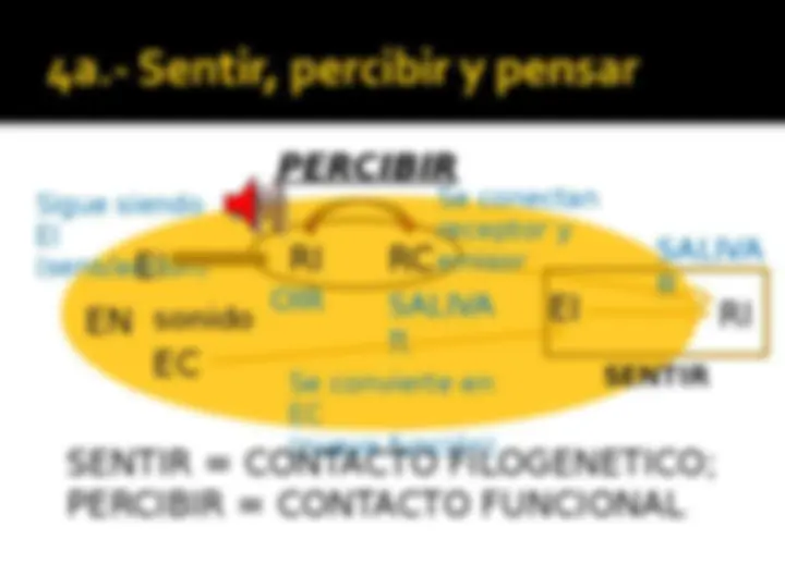 pf5