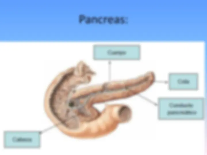 pf2c