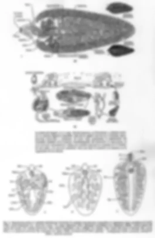 pf3