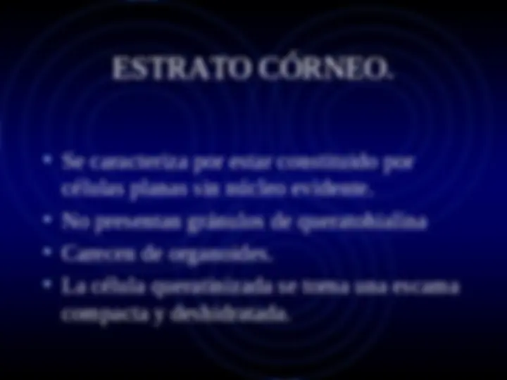 pfe