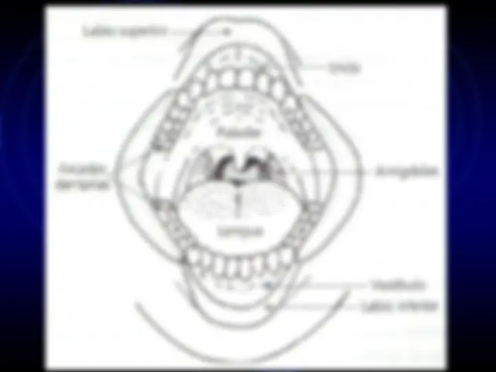 pf3