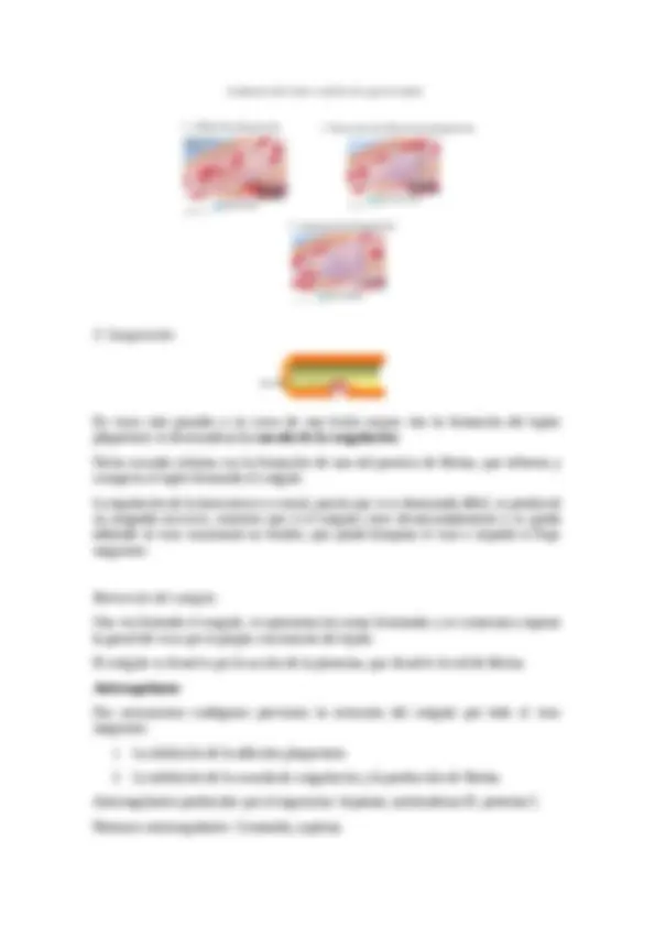 pf14