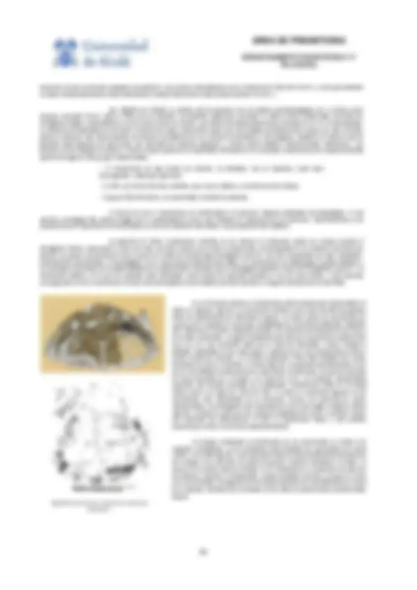 pf9