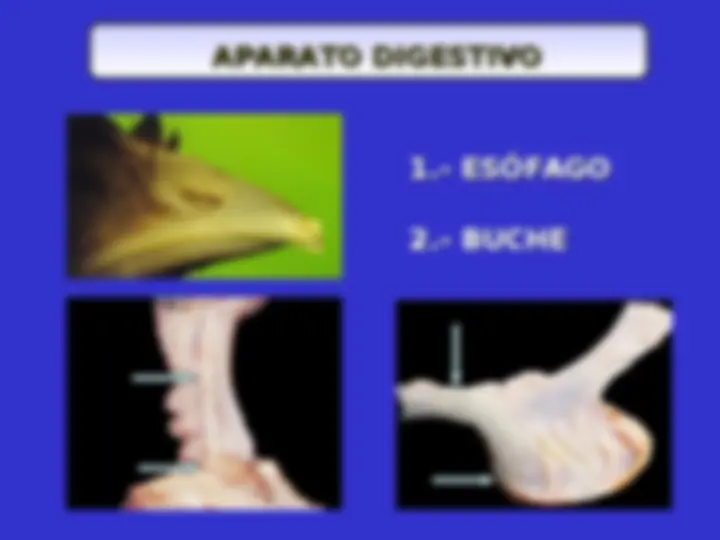 pfa