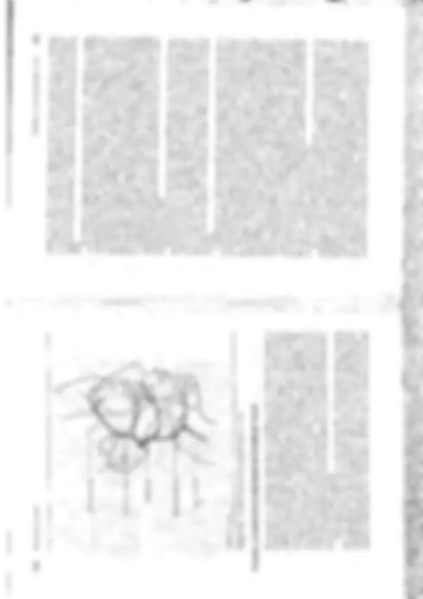 pfa