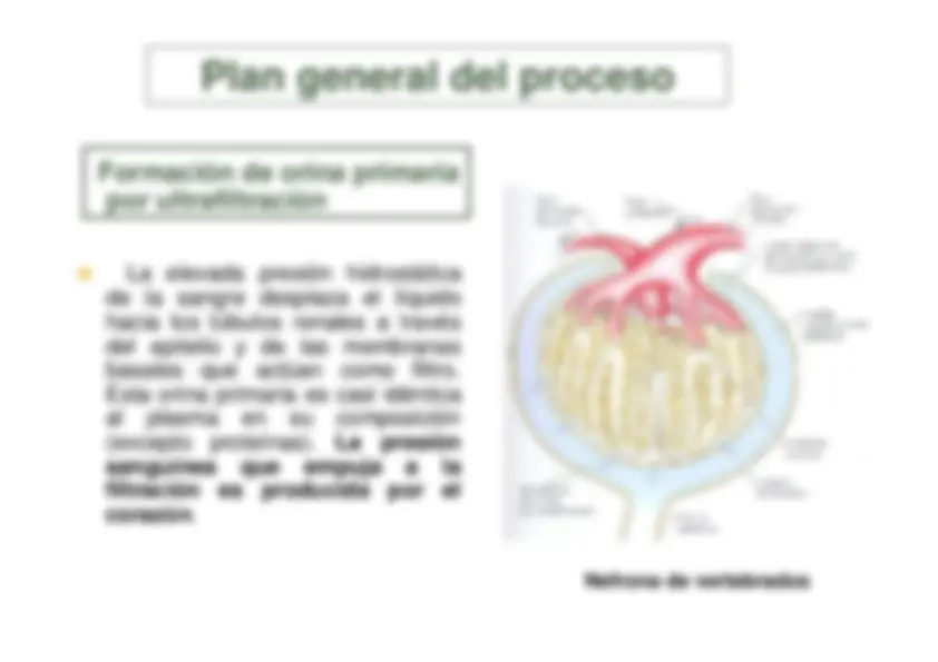 pf5