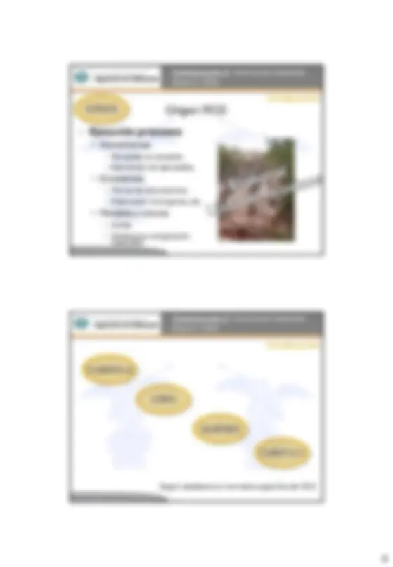 pf8