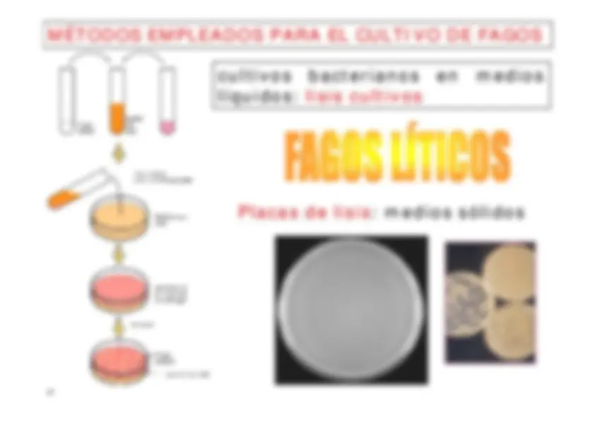 pf14