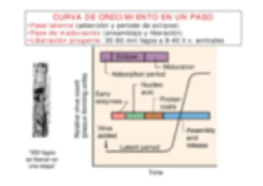 pf1c