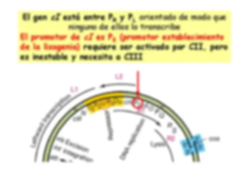 pf3e