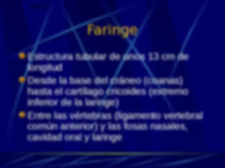 pf13