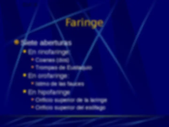 pf16