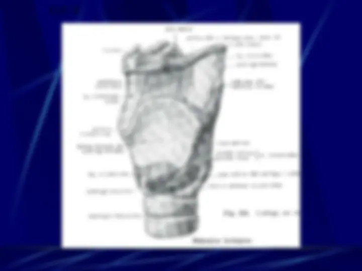 pf22