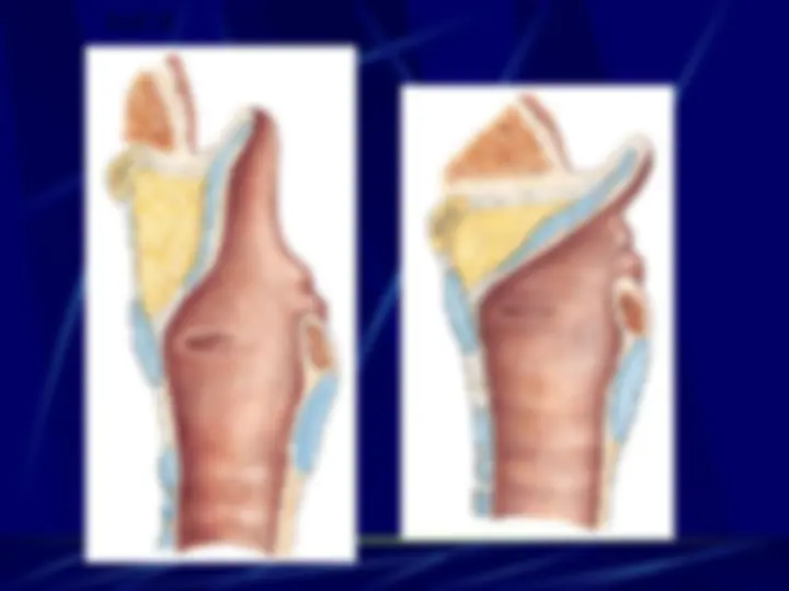 pf28