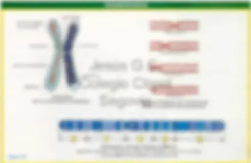 pf13