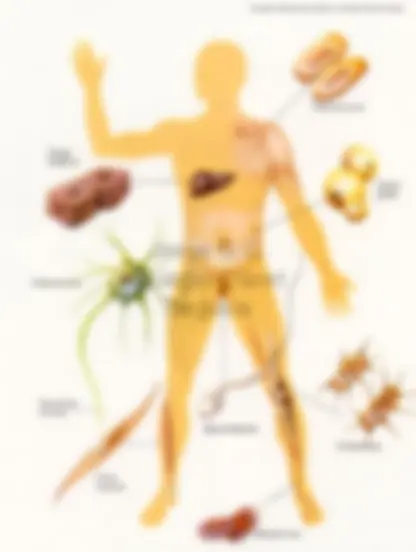 pfa