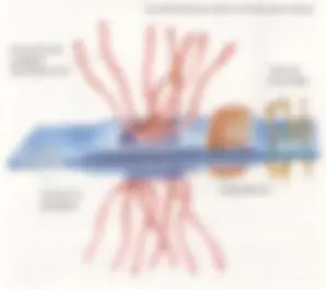 pf14