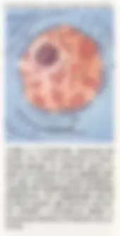 pf1d