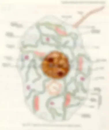 pf5