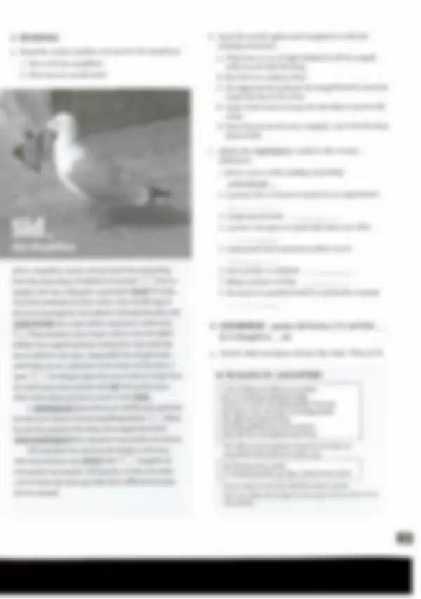 pf1b