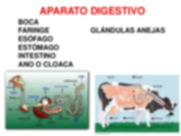 pf1d