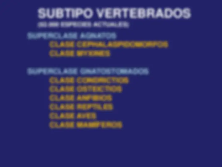 pf4
