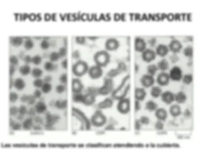 pfa