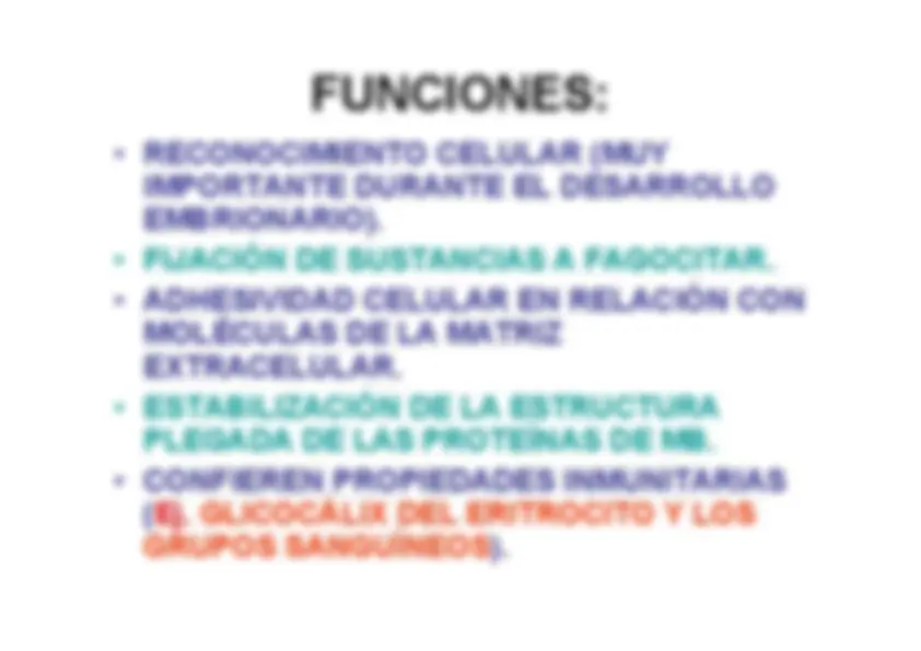 pf51