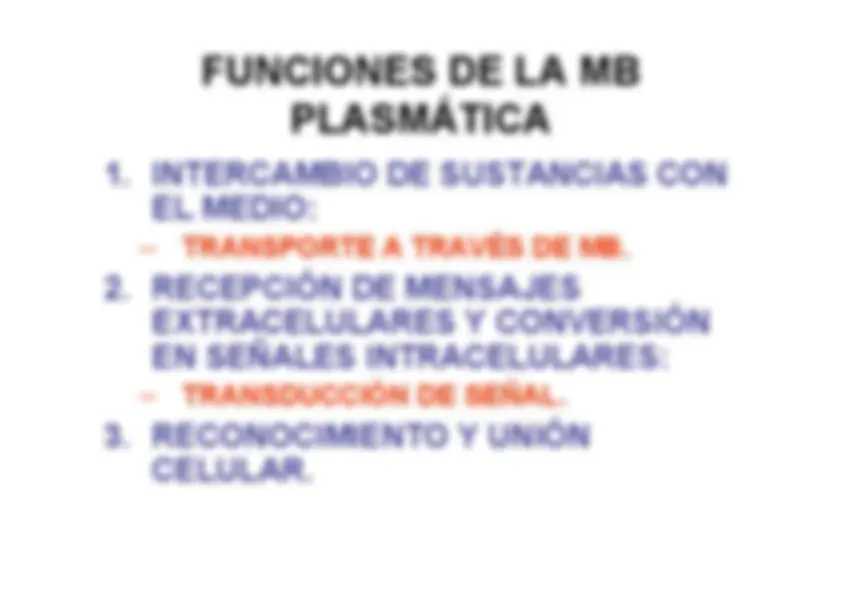pf58